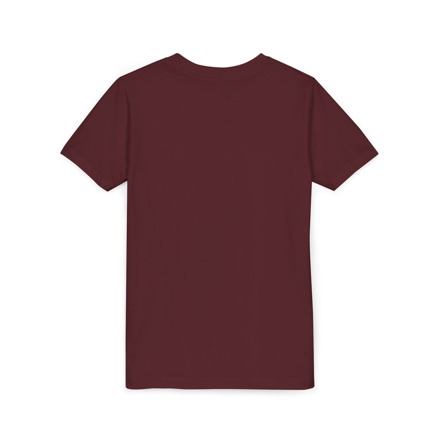 LIONS School Spirit Shirt