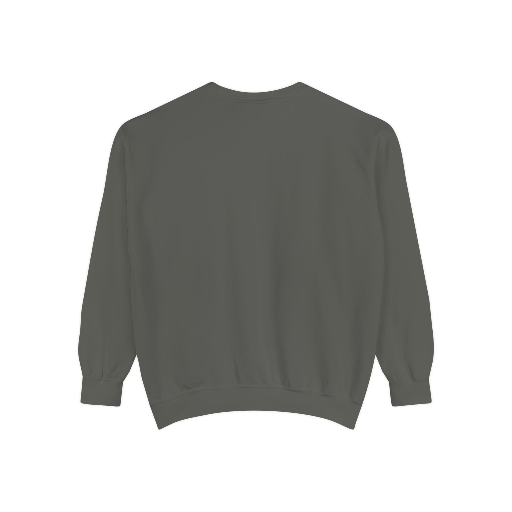 DVM Classic Logo Graphic Sweatshirt