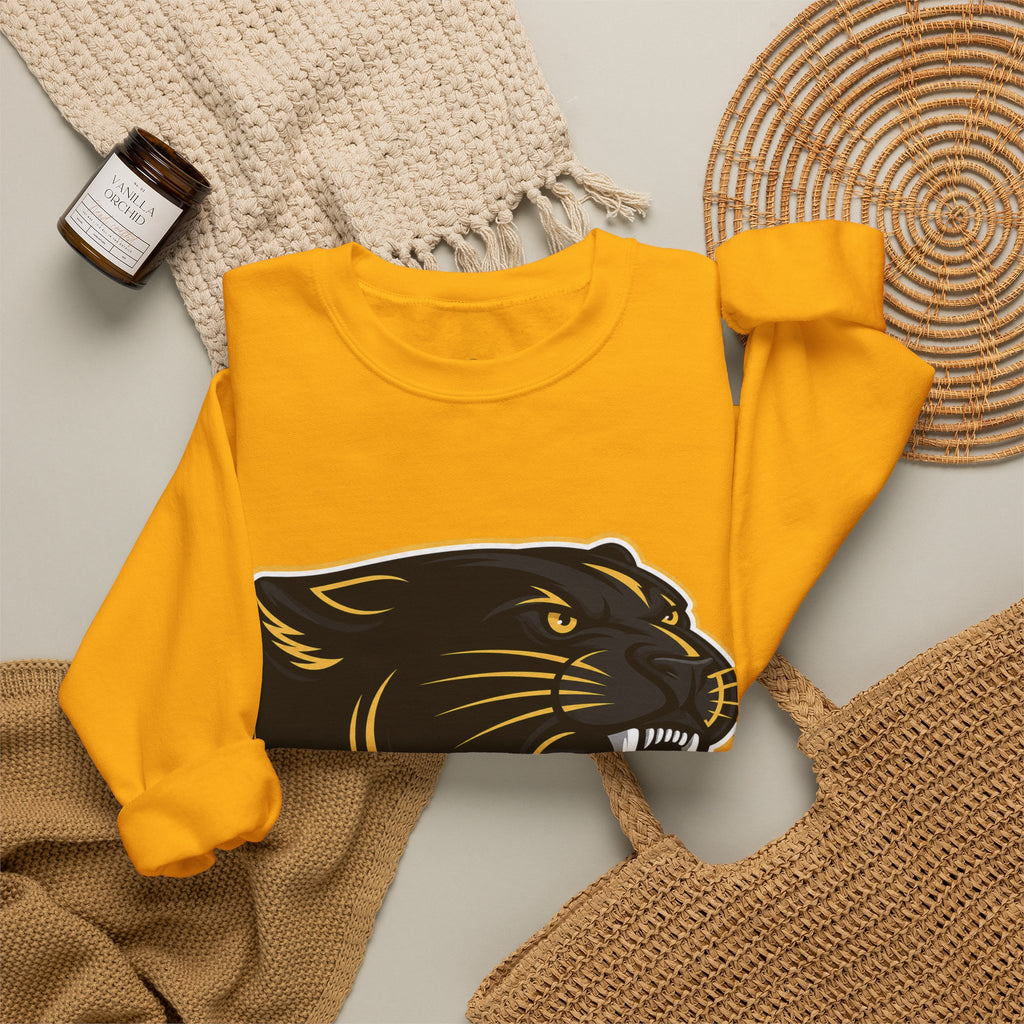 Panthers School Spirit Crewneck Sweatshirt