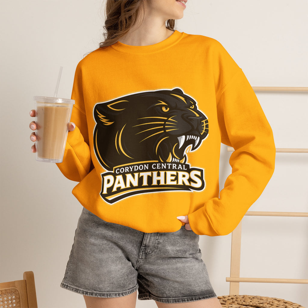 Panthers School Spirit Crewneck Sweatshirt
