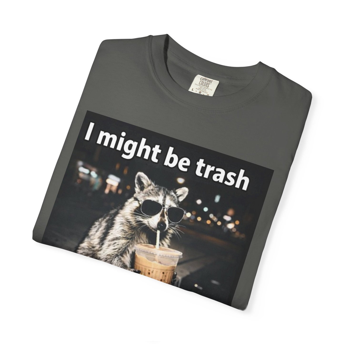 Raccoon I Might Be Trash T-Shirt — Funny Cute Animal Graphic Tee