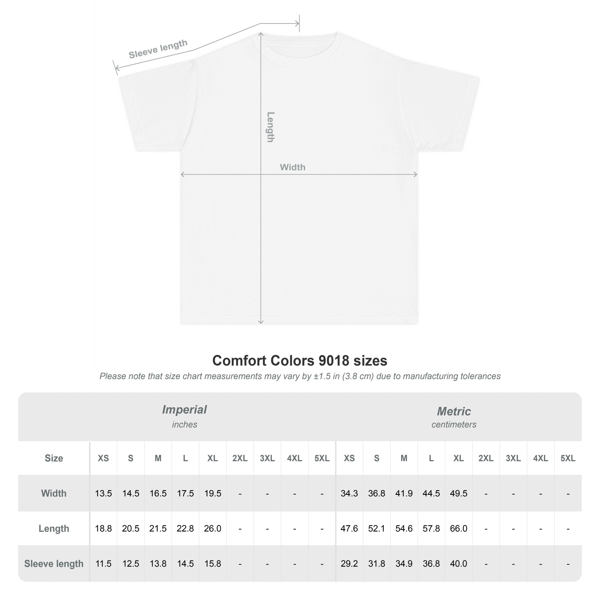 Lions School Spirit Shirt