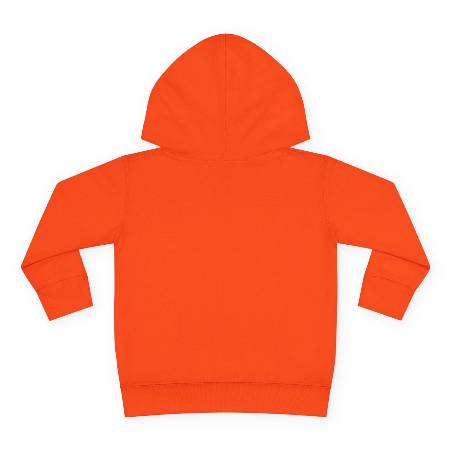 "The Cool Kid Just Showed Up" Toddler Hoodie