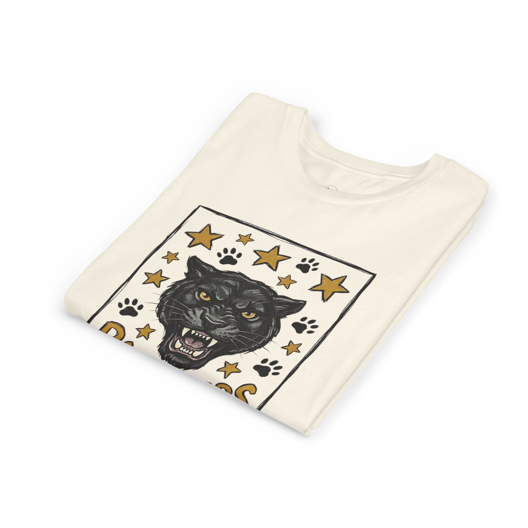 Panthers School Spirit Youth Tee