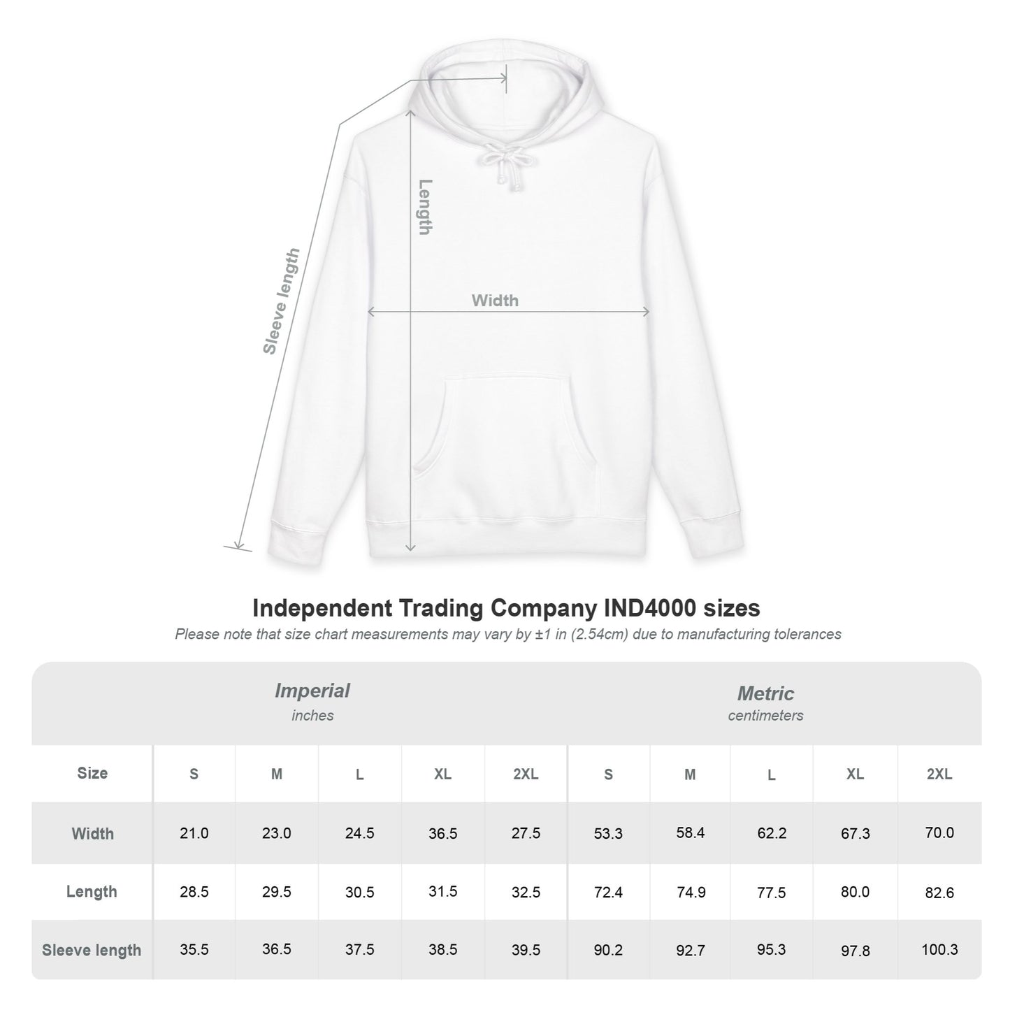 Lions Vintage Team Spirit Pullover