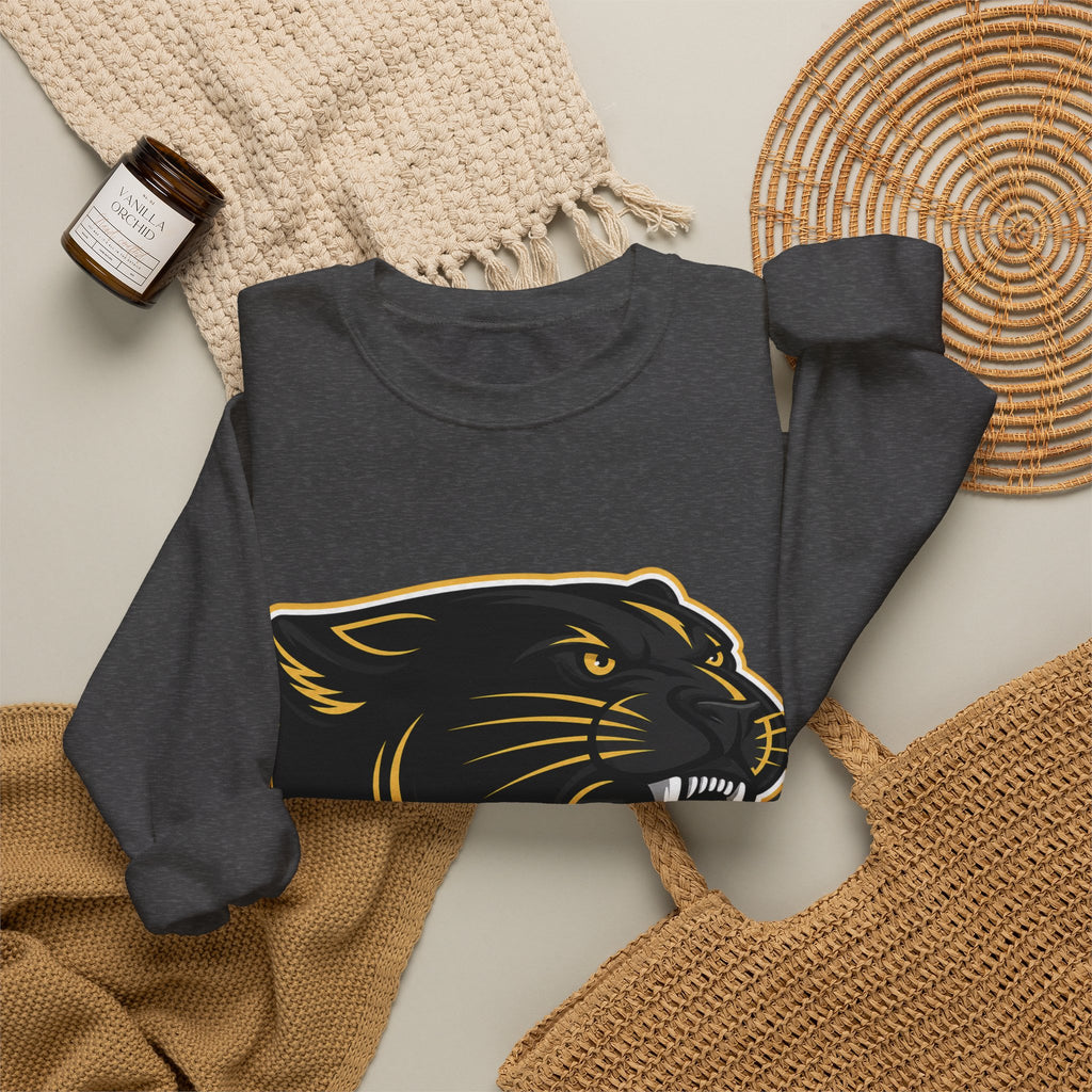 Panthers School Spirit Crewneck Sweatshirt