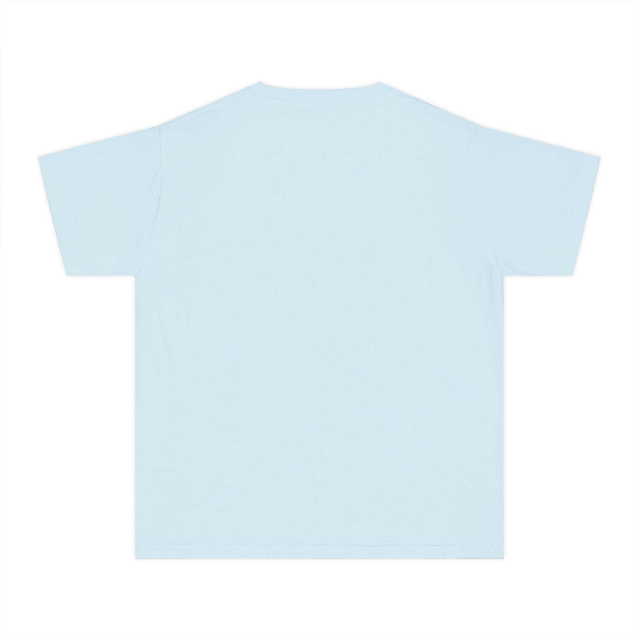 Lions School Spirit Shirt