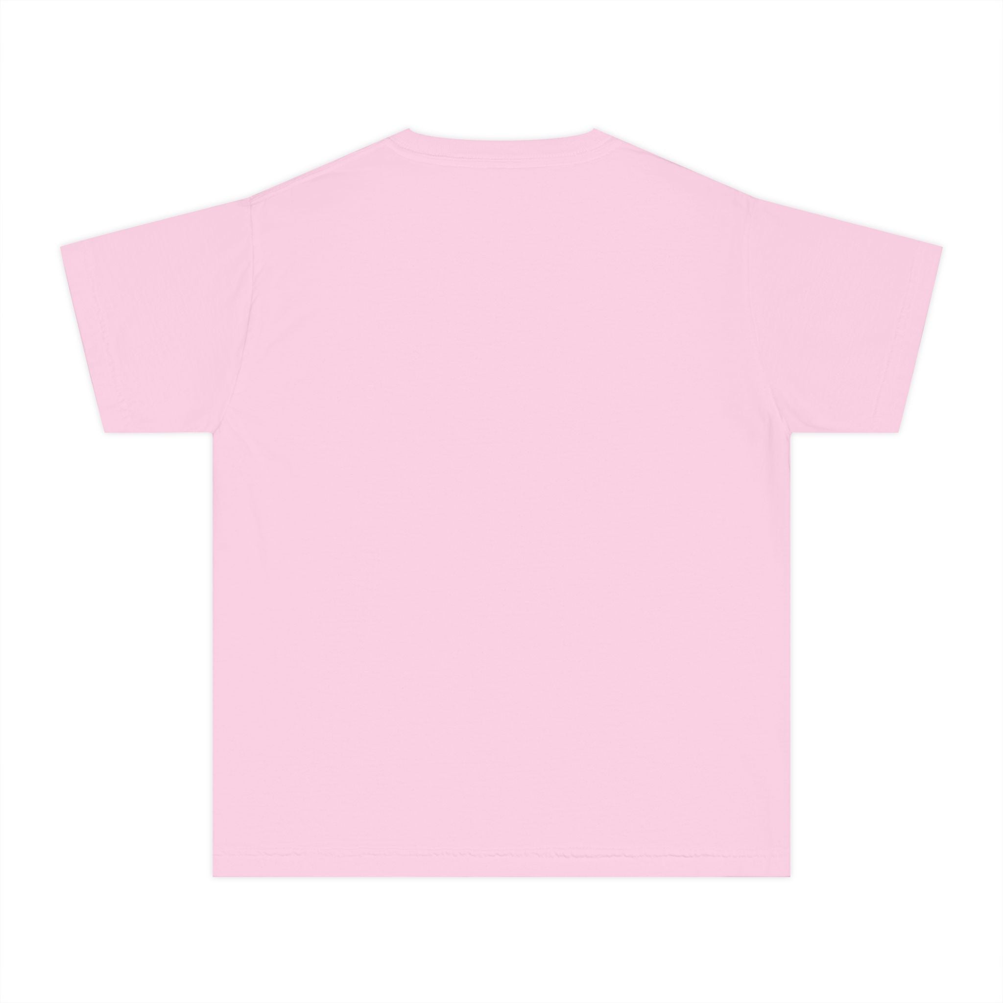 Lions School Spirit Shirt
