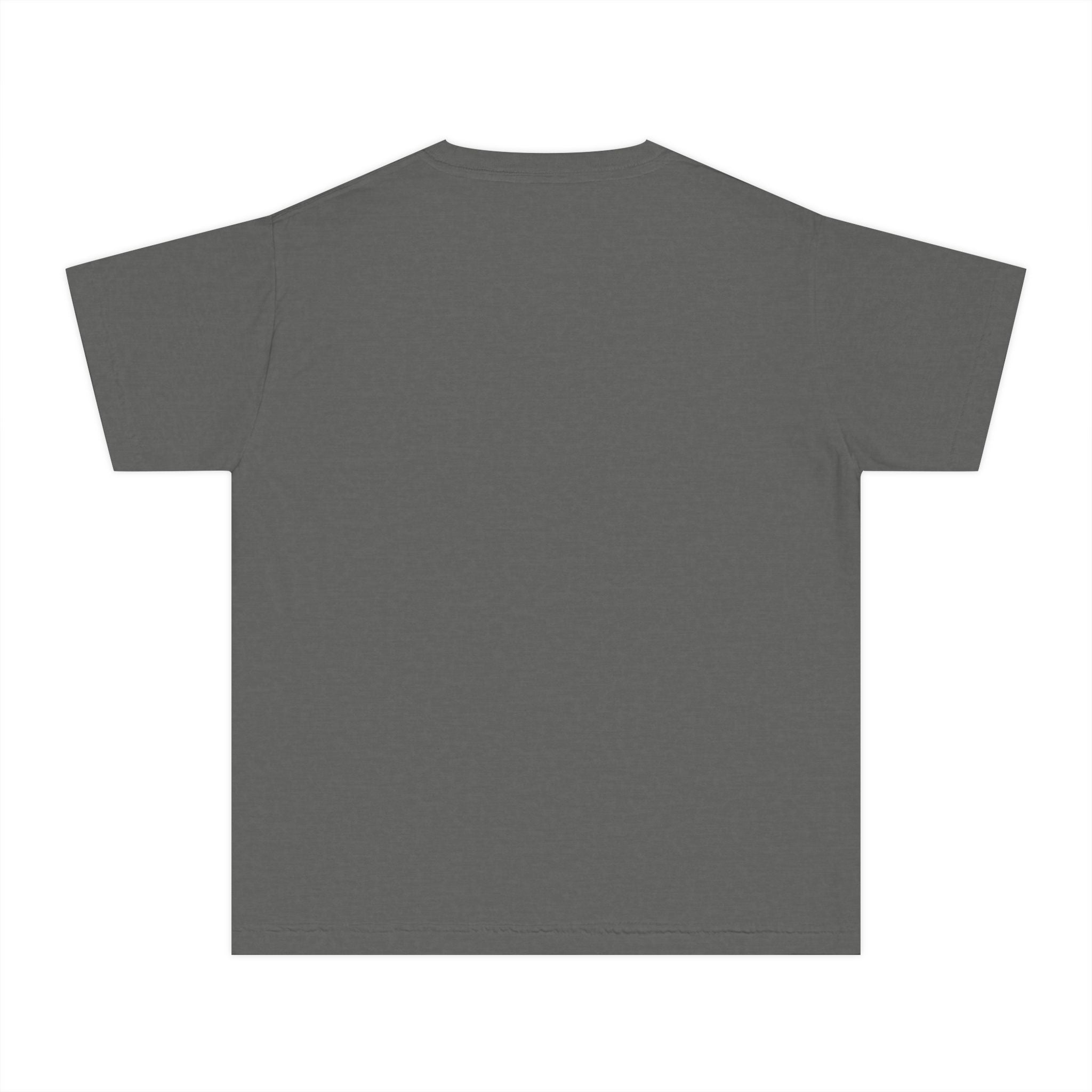Lions School Spirit Shirt