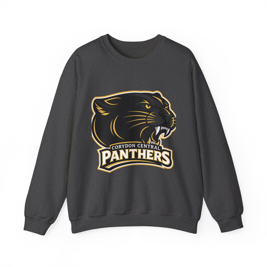 Panthers School Spirit Crewneck Sweatshirt