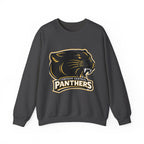 Panthers School Spirit Crewneck Sweatshirt