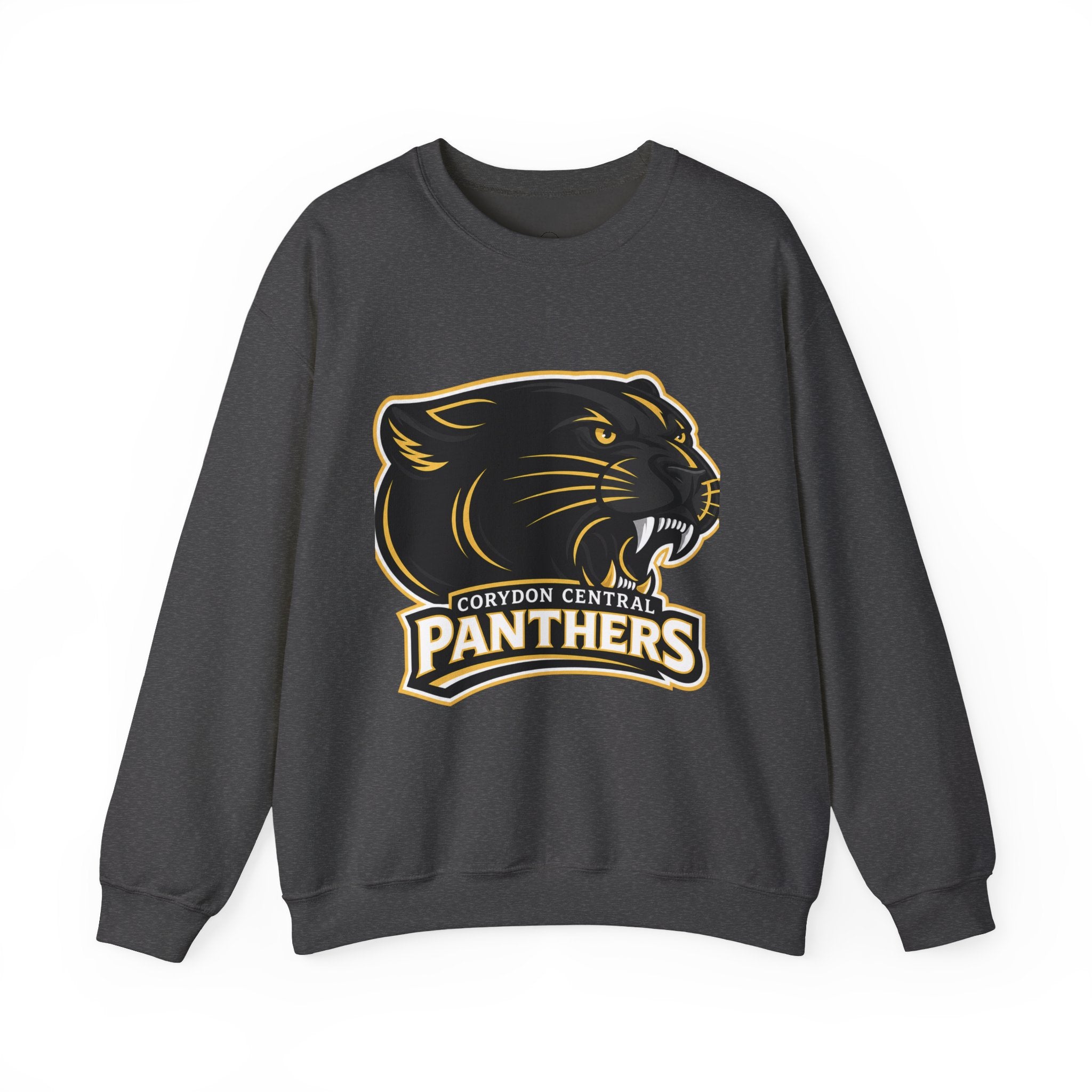 Panthers School Spirit Crewneck Sweatshirt