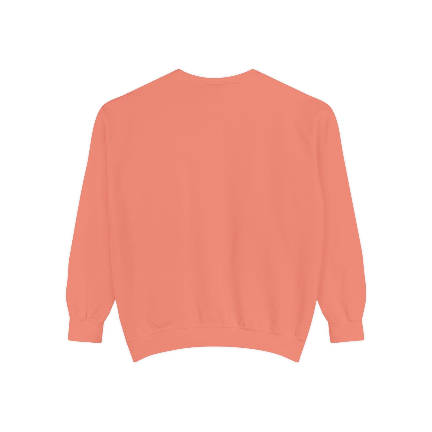 Momma Didn't Raise No Bibbidi… Except My Brother - Garment-Dyed Sweatshirt