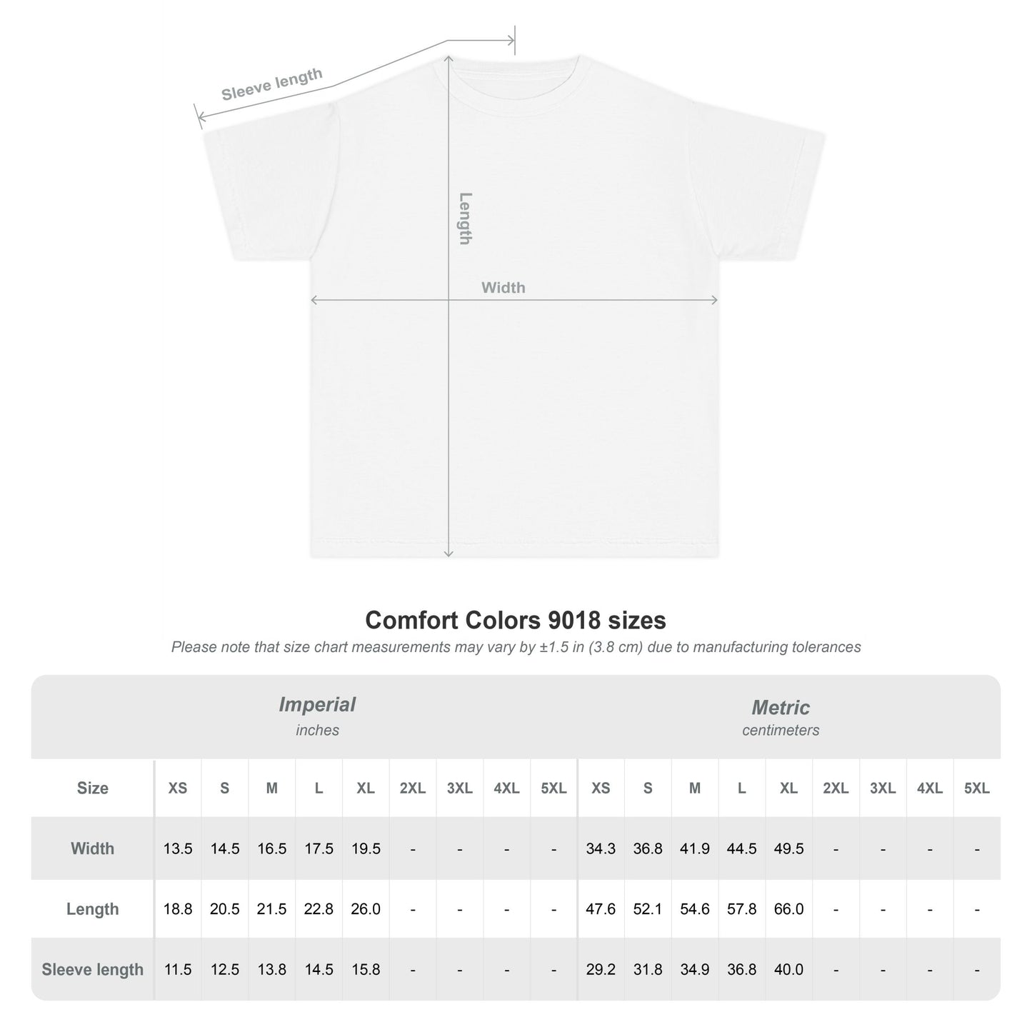 Lions School Spirit Shirt
