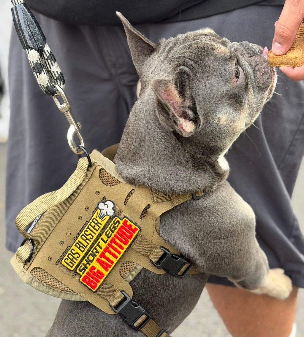 Gas Blaster  - Morale Patch