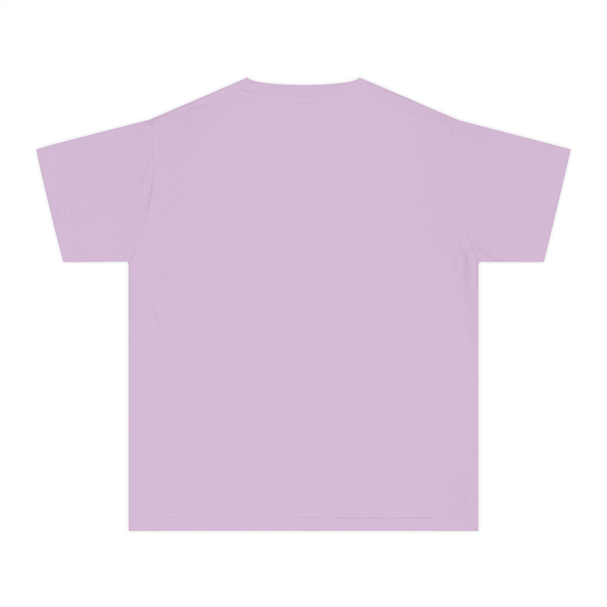 Lions School Spirit Shirt