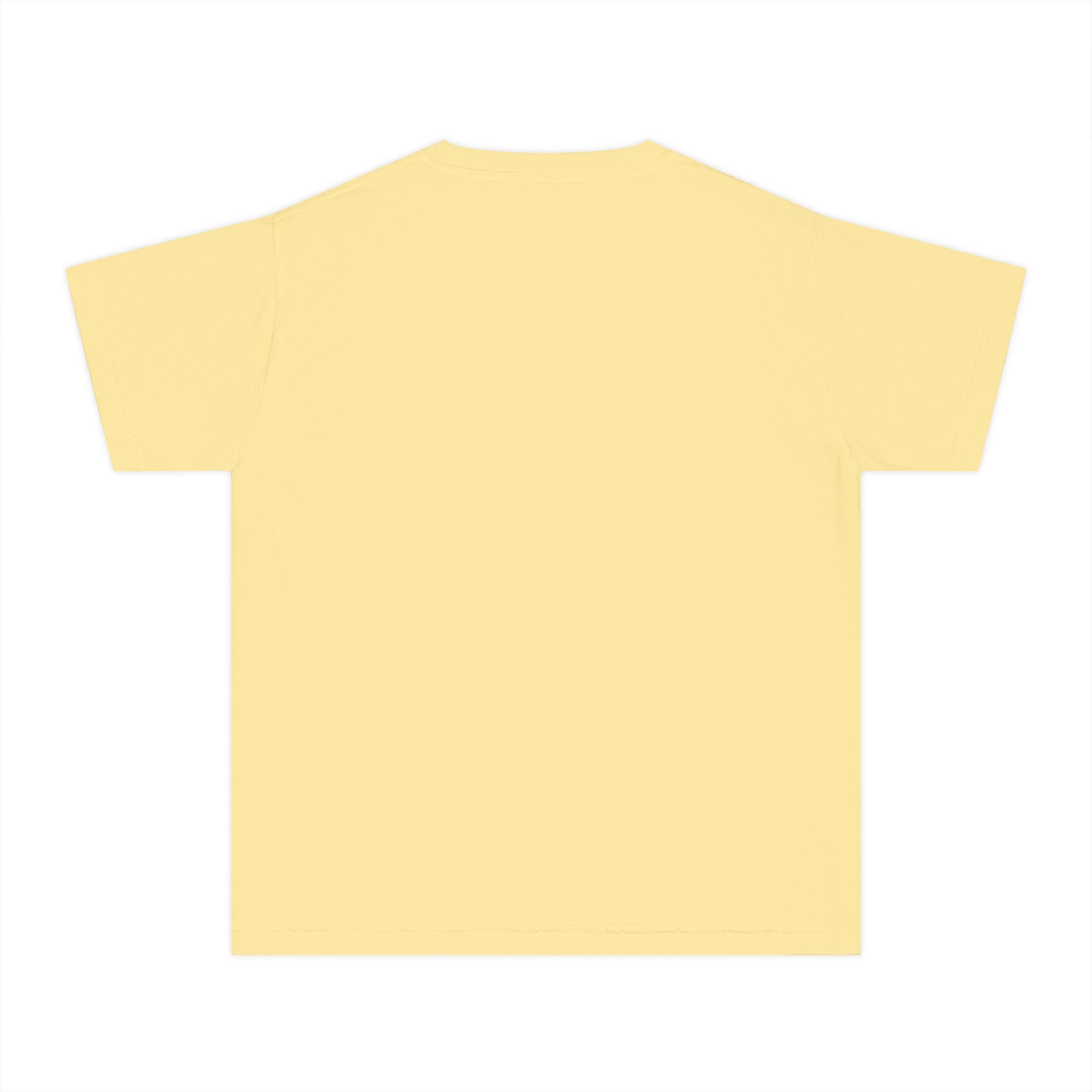 Lions School Spirit Shirt