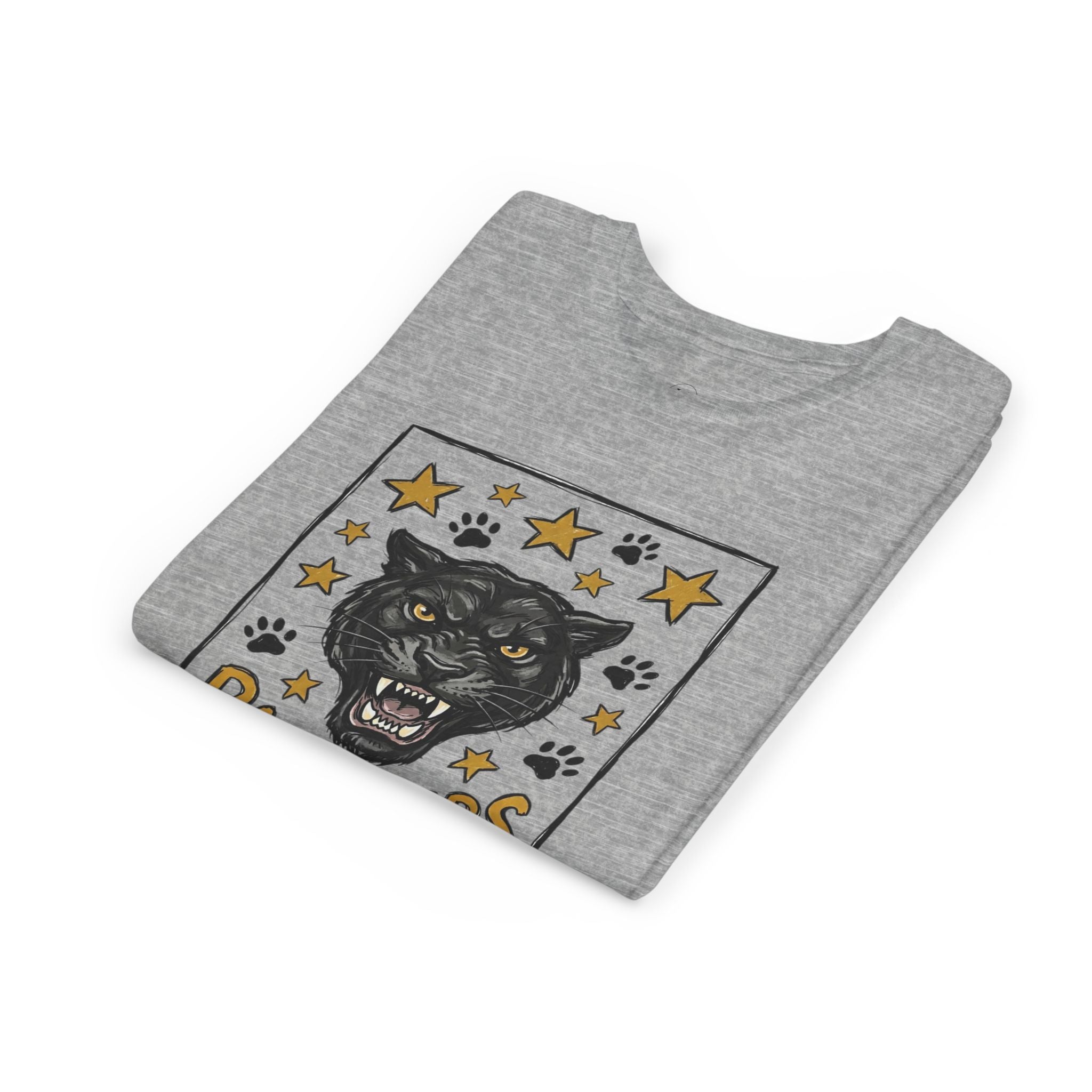 Panthers School Spirit Youth Tee