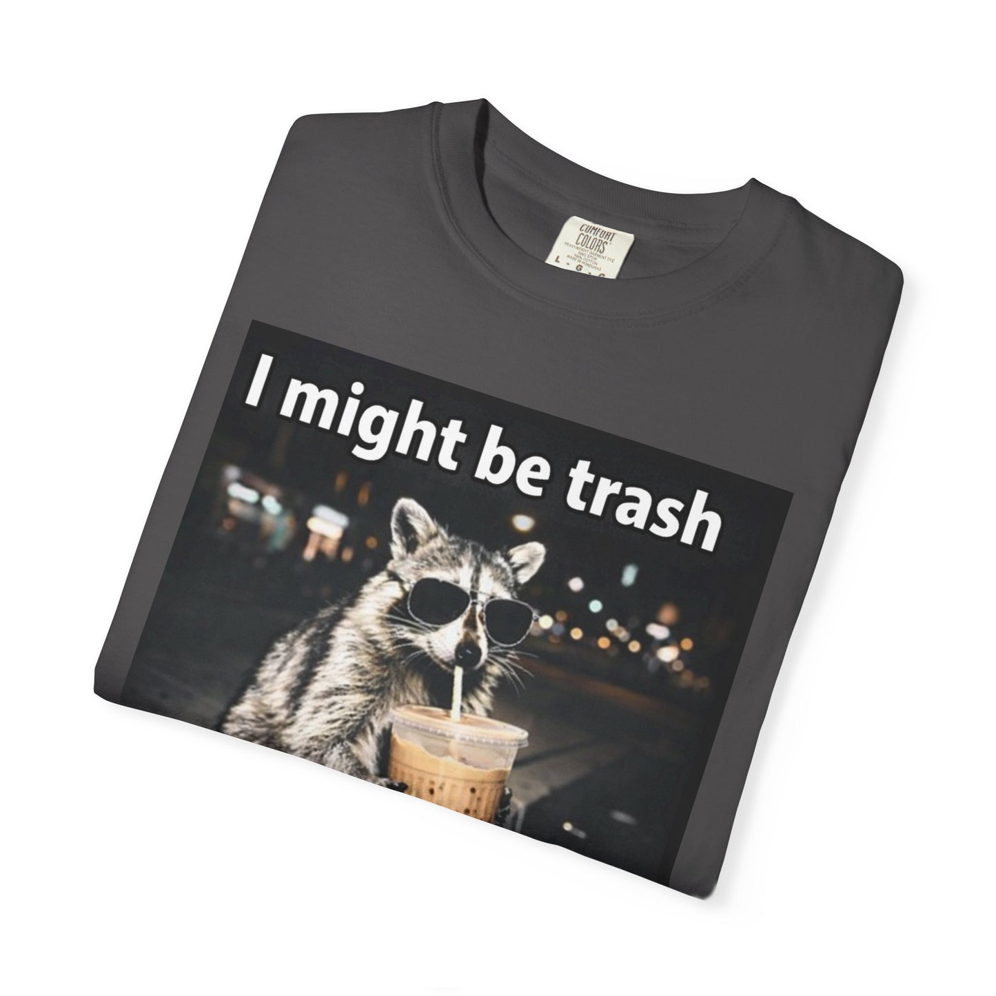 Raccoon I Might Be Trash T-Shirt — Funny Cute Animal Graphic Tee