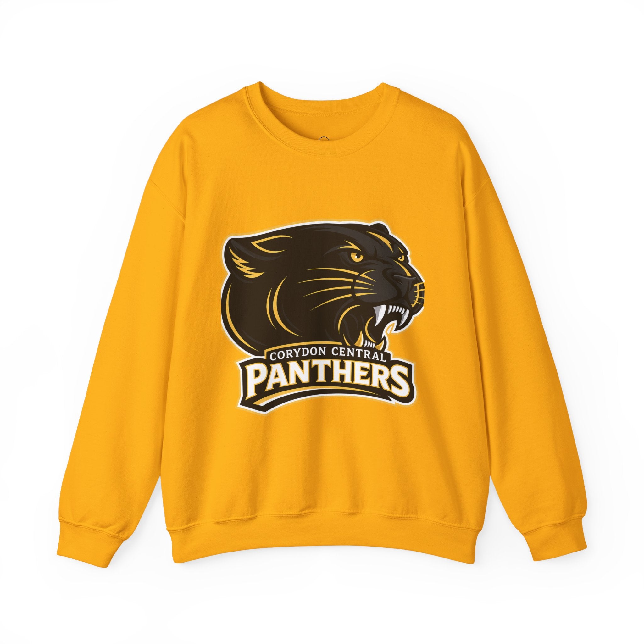 Panthers School Spirit Crewneck Sweatshirt