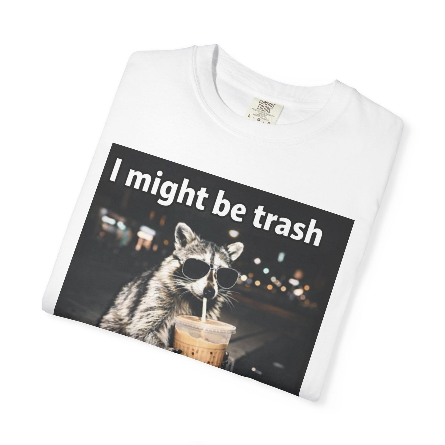 Raccoon I Might Be Trash T-Shirt — Funny Cute Animal Graphic Tee