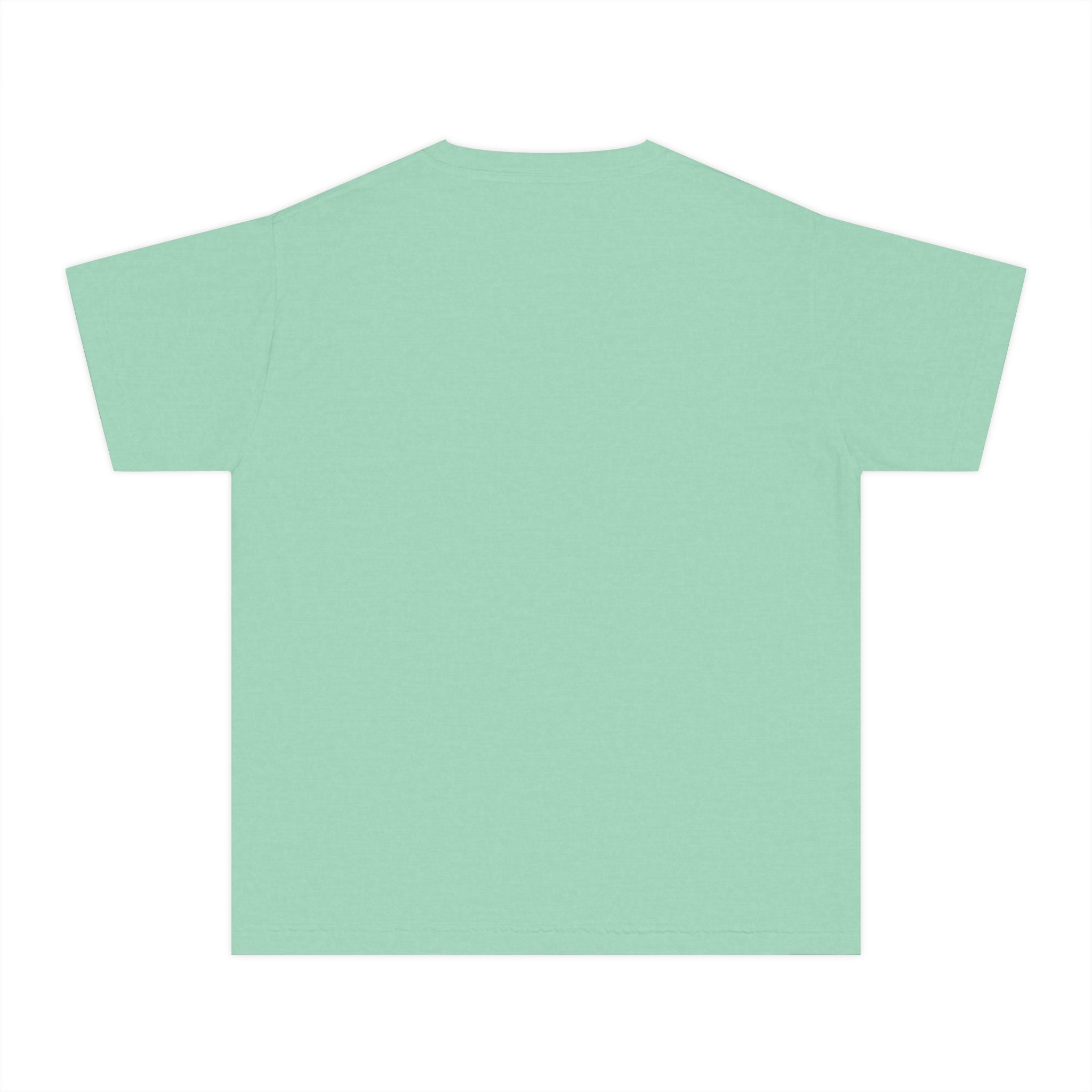 Lions School Spirit Shirt