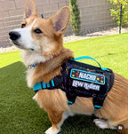 Low Rider Morale Patch