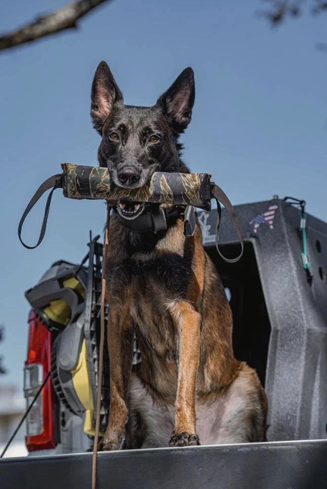 K9R - Kiloniner TUG-N-TRAIN Tug Toy