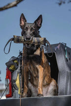 K9R - Kiloniner TUG-N-TRAIN Tug Toy