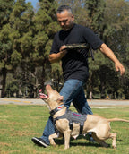 K9R - Kiloniner TUG-N-TRAIN Tug Toy