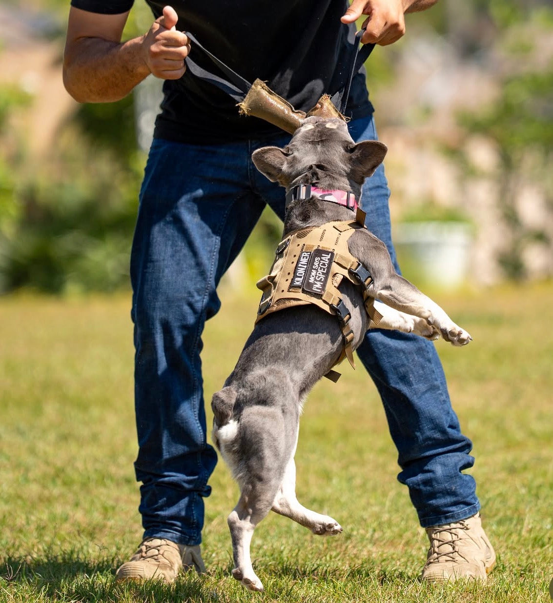 K9R - Kiloniner TUG-N-TRAIN Tug Toy