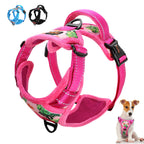 Reflective Padded Dog Harness + Leash Set with Floral Print