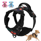 Reflective Padded Dog Harness + Leash Set with Floral Print