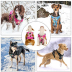 Reflective Padded Dog Harness + Leash Set with Floral Print