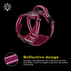 Reflective Padded Dog Harness + Leash Set with Floral Print