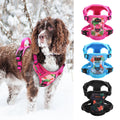 Reflective Padded Dog Harness + Leash Set with Floral Print